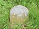image of grave number 719698